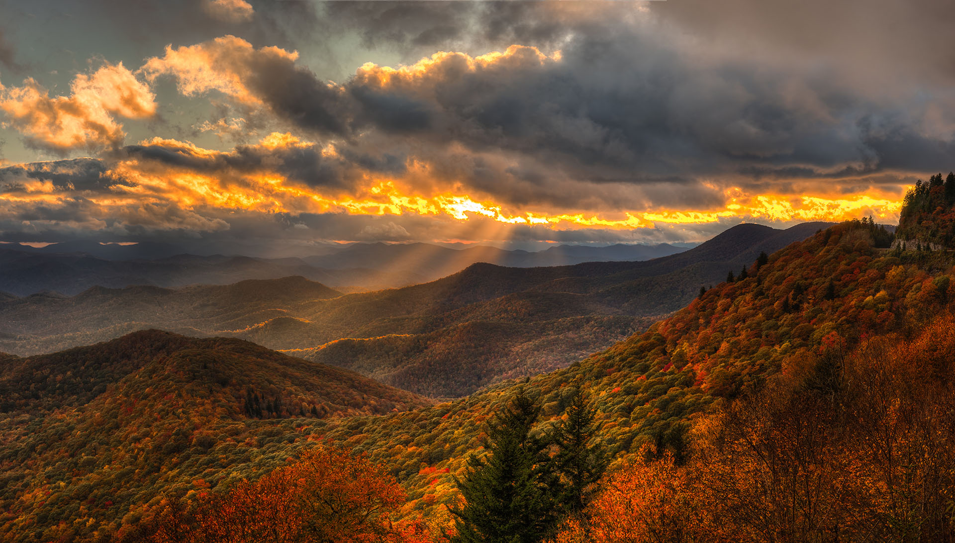 Scenic Tours