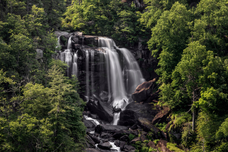 Scenic Tours